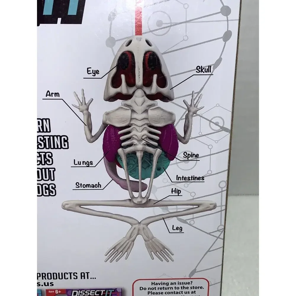 Dissect It Lab Frog STEM Animal Anatomy For Kids Kit Age 6+3 Home School 15 Pcs